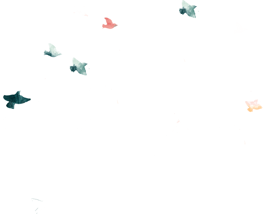 Screendesign Birds