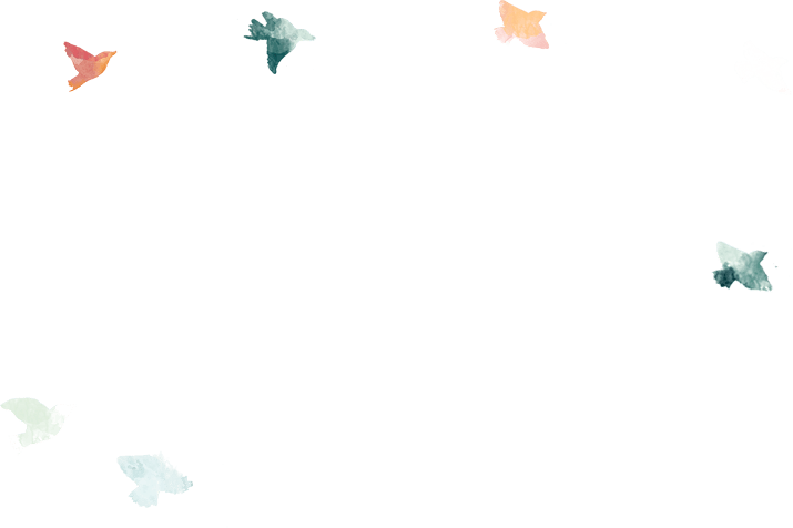 Screendesign Birds