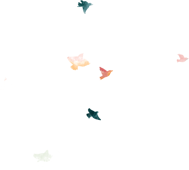 Screendesign Birds