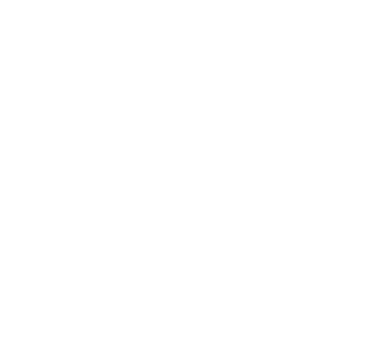 Screendesign Leafs