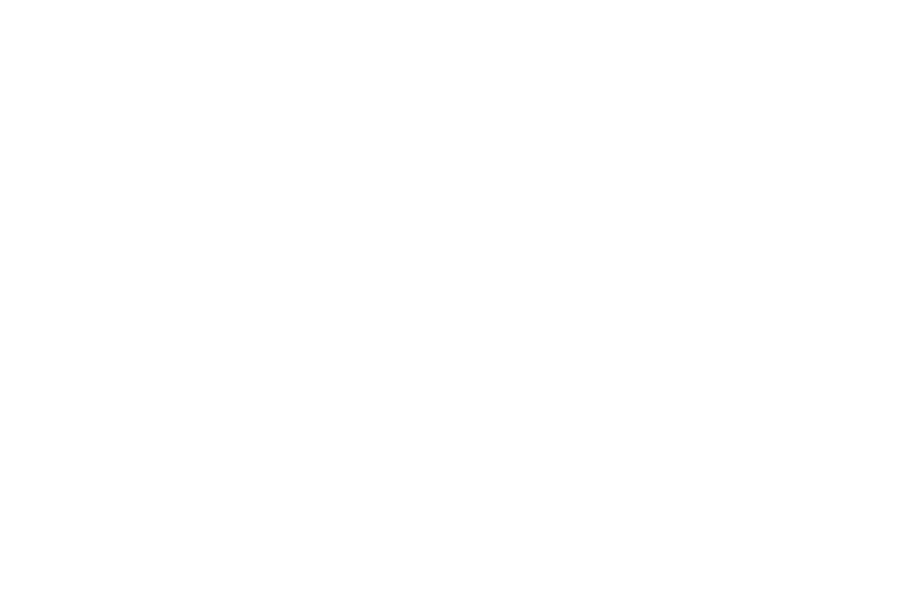 Screendesign Leafs