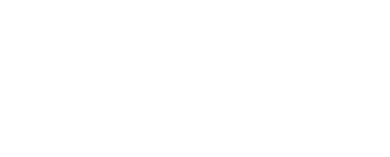 Screendesign Leafs