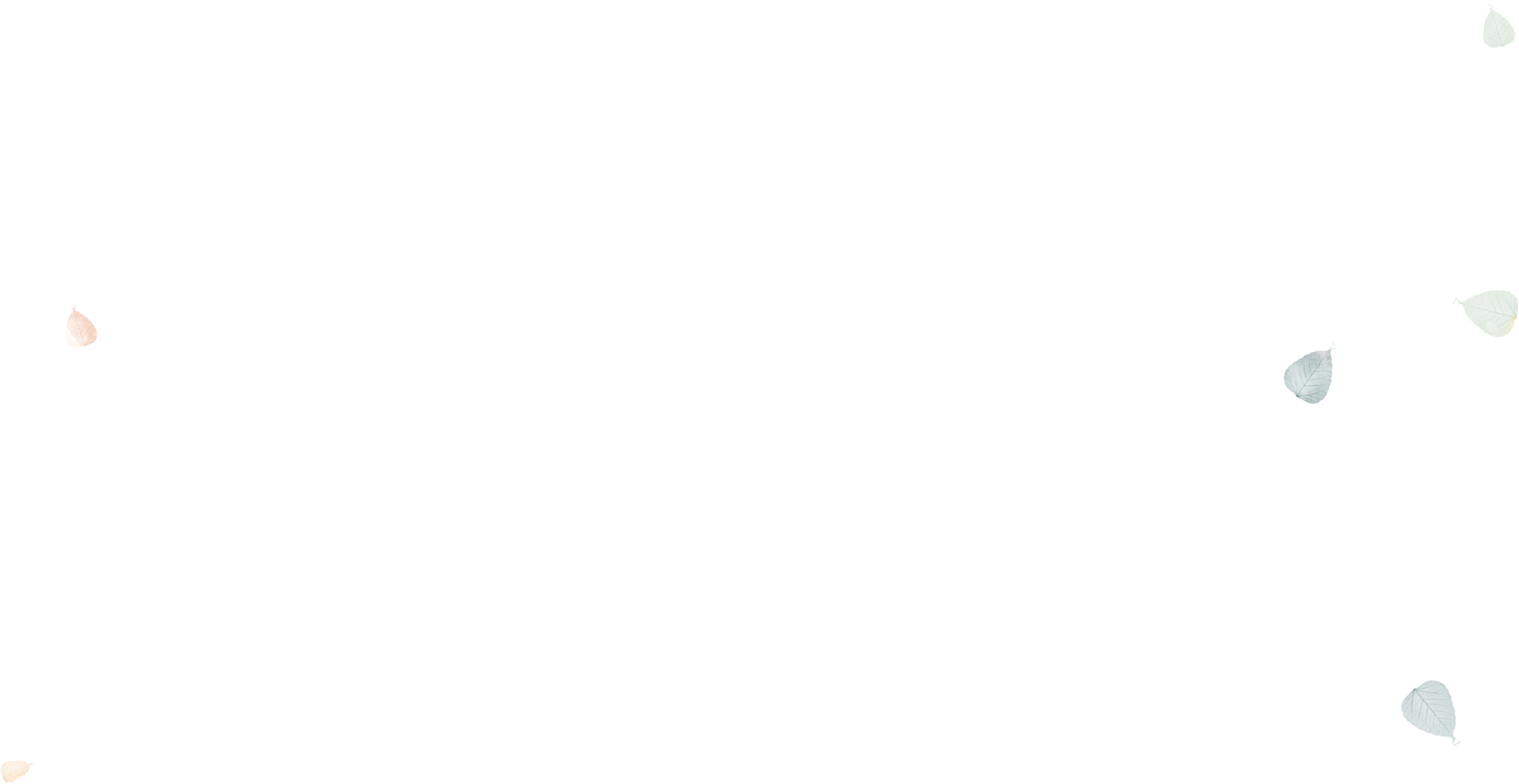 Aufwind Logo Leaves